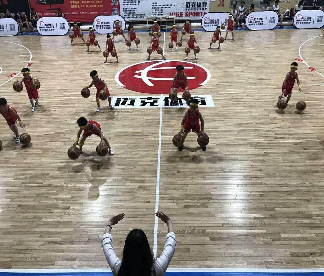 专业篮球木地板_篮球场专用木地板_地板篮球专用木材有哪些