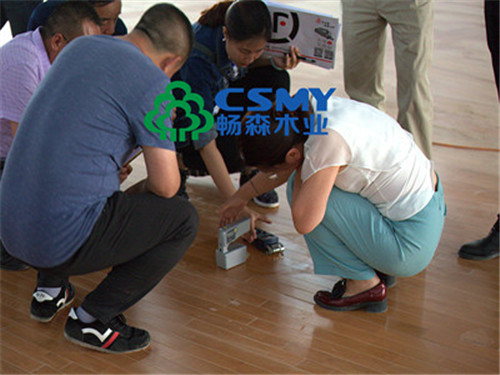橡胶地板减震木运动垫好用吗_橡胶地板减震木运动垫好不好_运动木地板橡胶减震垫