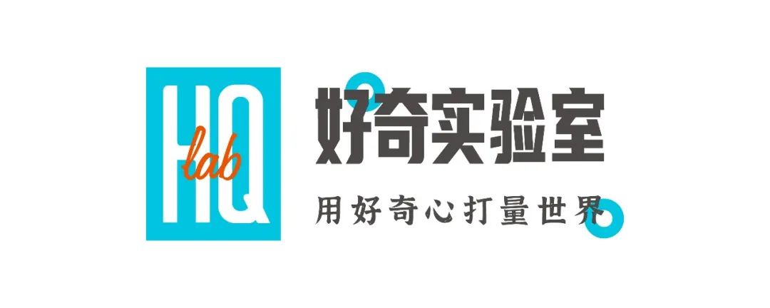 地板减震木运动垫好不好_运动木地板减震垫_地板减震木运动垫图片