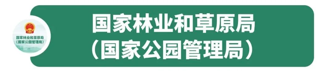 舞台专用木地板厚度_舞台木地板规范_舞台木地板施工工艺
