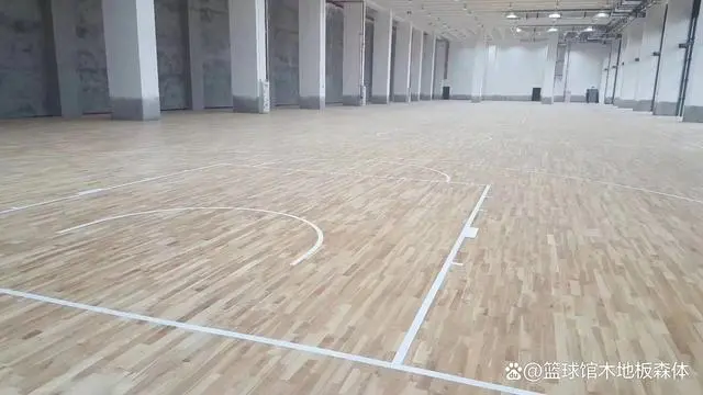 运动地板_地板运动breaking_地板运动有哪些