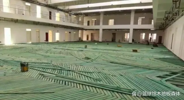运动地板_地板运动有哪些_地板运动breaking