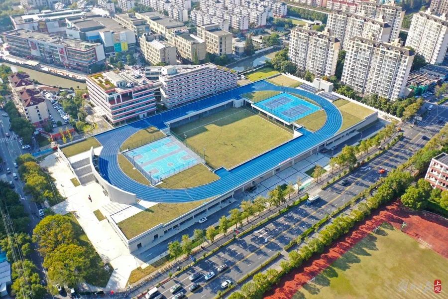 体育木地板专用_地板专用体育木材有哪些_地板专用体育木板