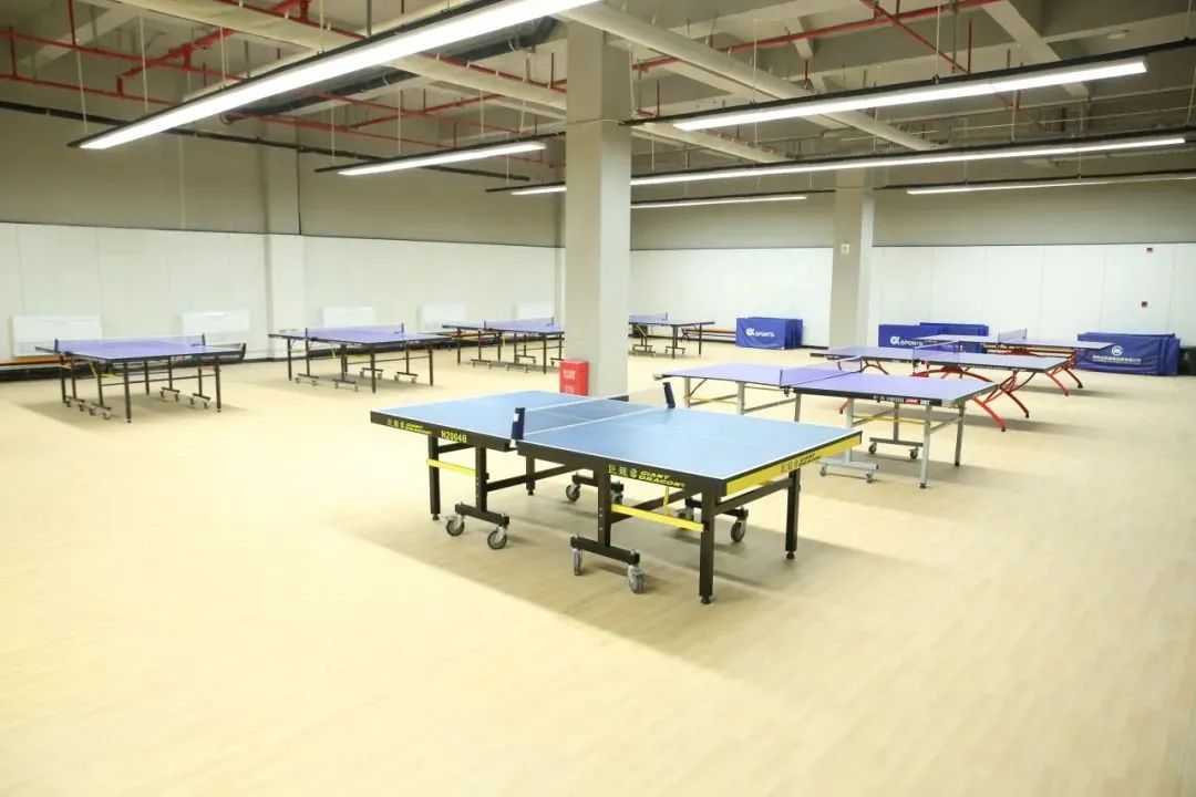 地板专用体育木材有哪些_体育木地板专用_地板专用体育木板